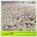 Leon series customized pan feeding system for poultry and livestock